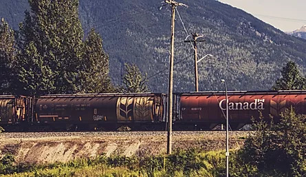 ezgif.com-webp-to-jpg (3)